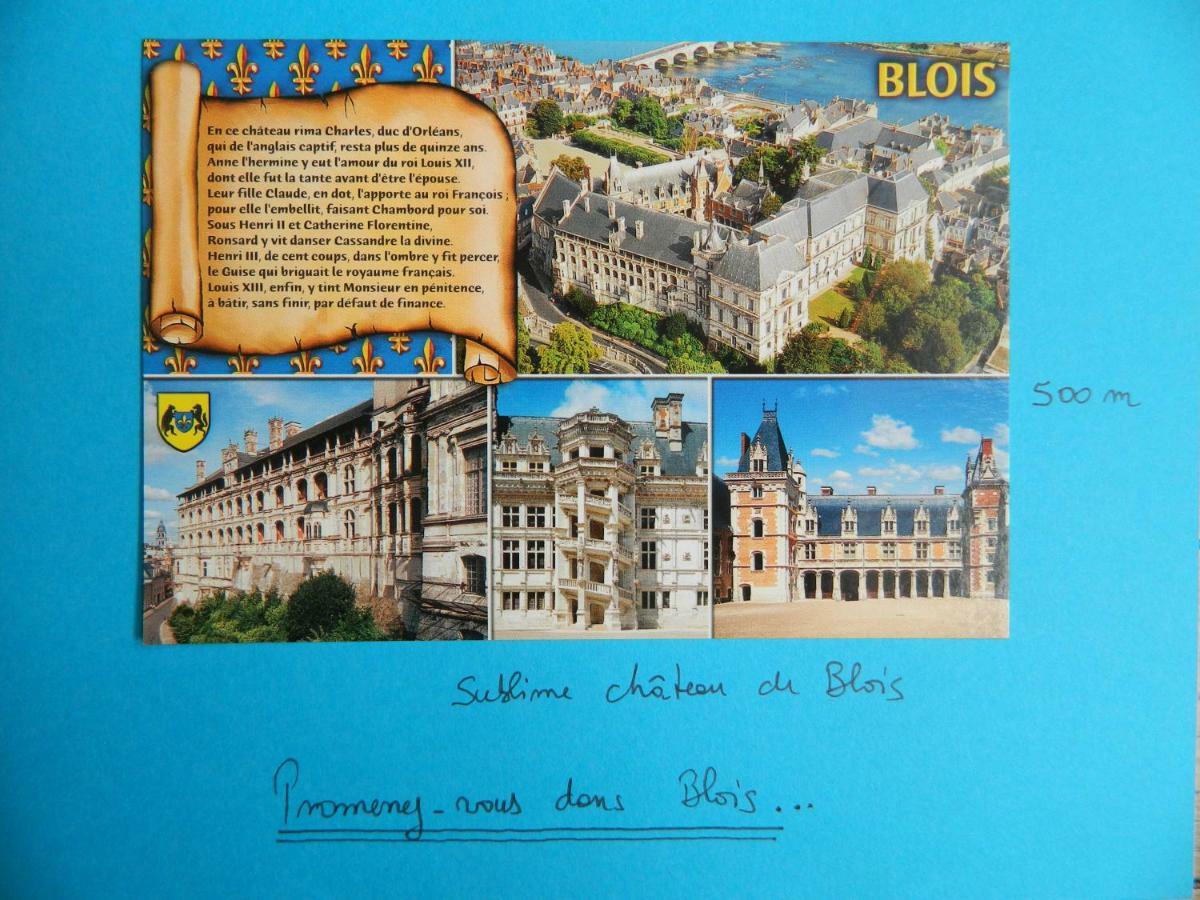 Les Lumieres De La Loire Apartamento Blois Exterior foto